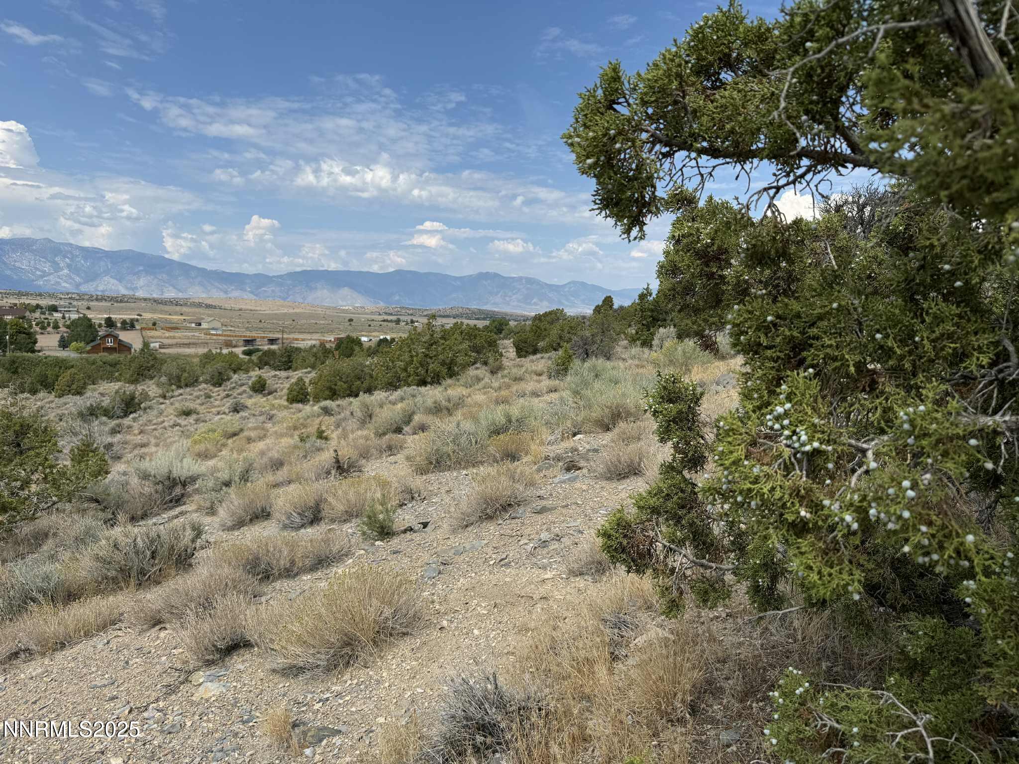 a view of a bunch of trees in a field