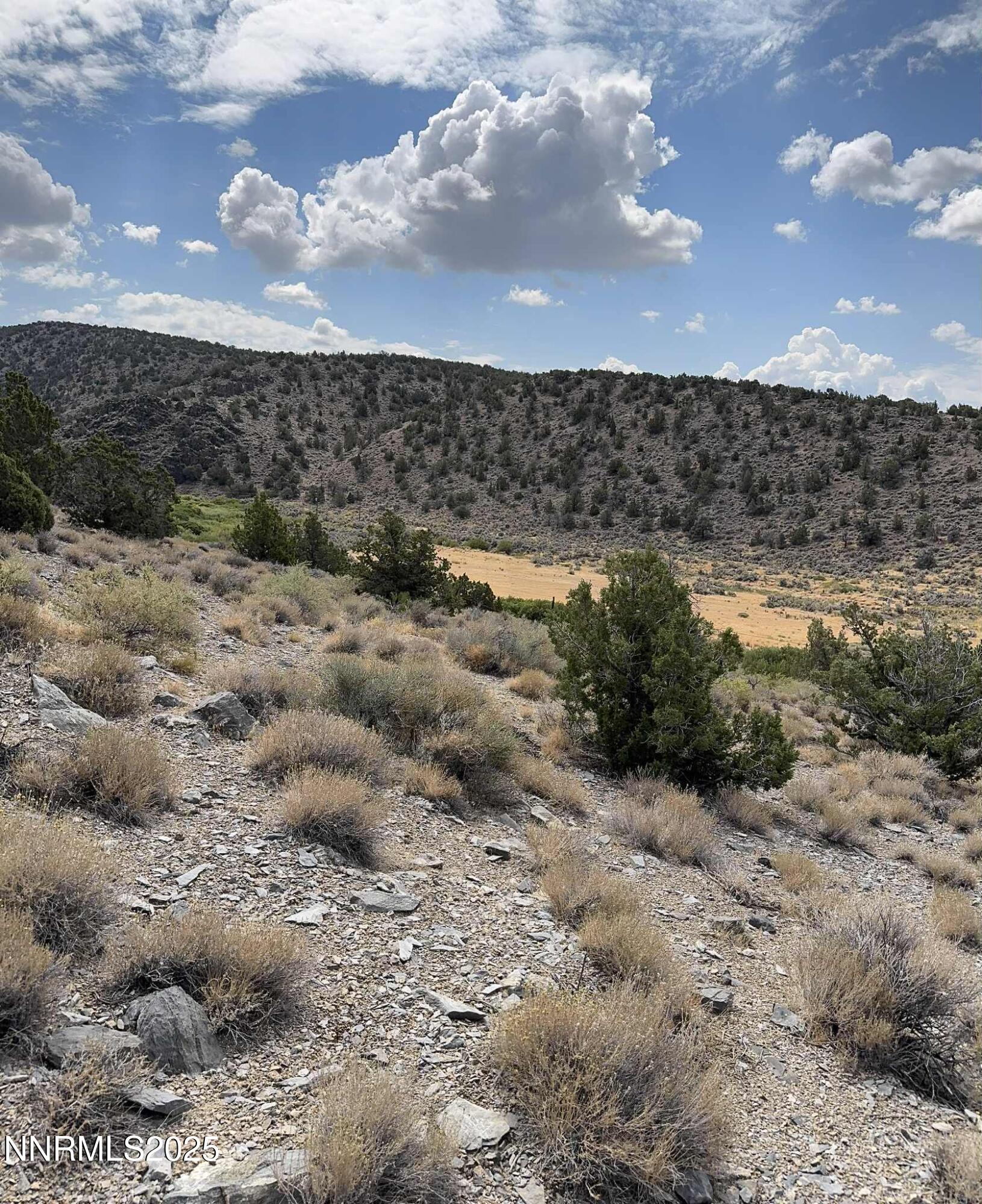 Tbd Old Ranch Road, Unit 2 Gardnerville, NV 89410 - Photo 5 of 6 a view of a bunch of trees