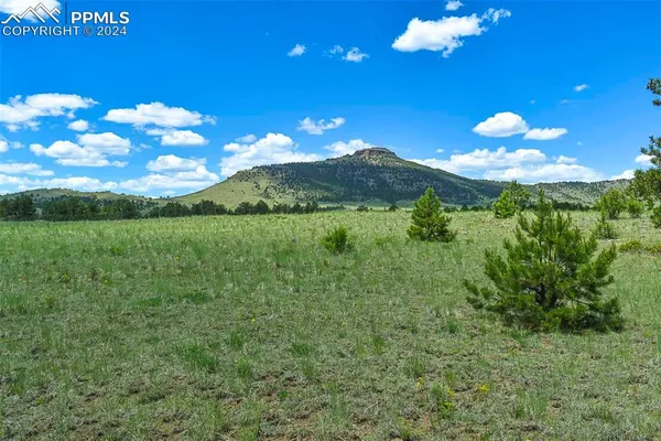 a view of a golf course with a tree