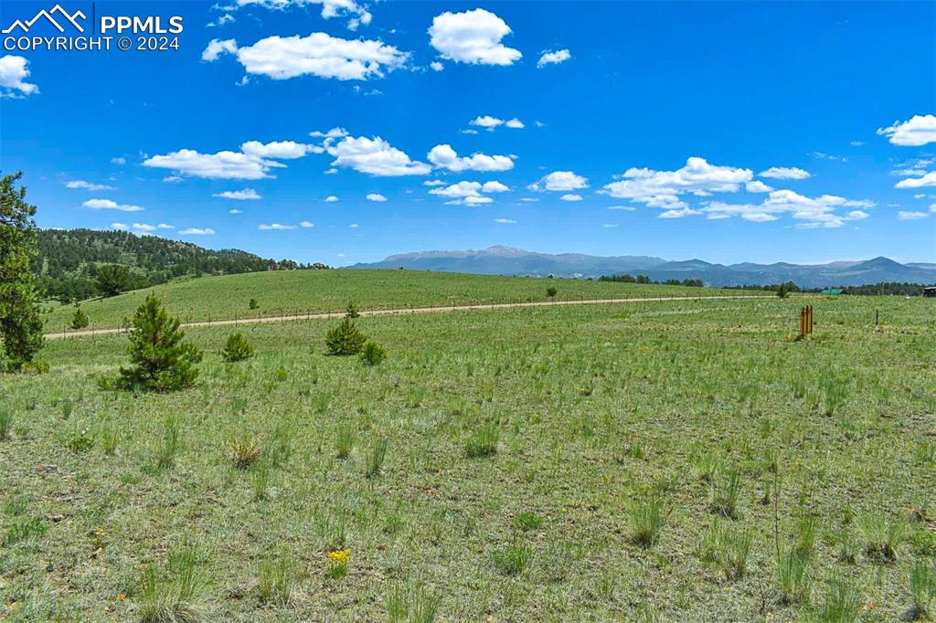 56 View Lane Guffey, CO 80820 - Photo 16 of 38 a view of a big yard with lots of green space