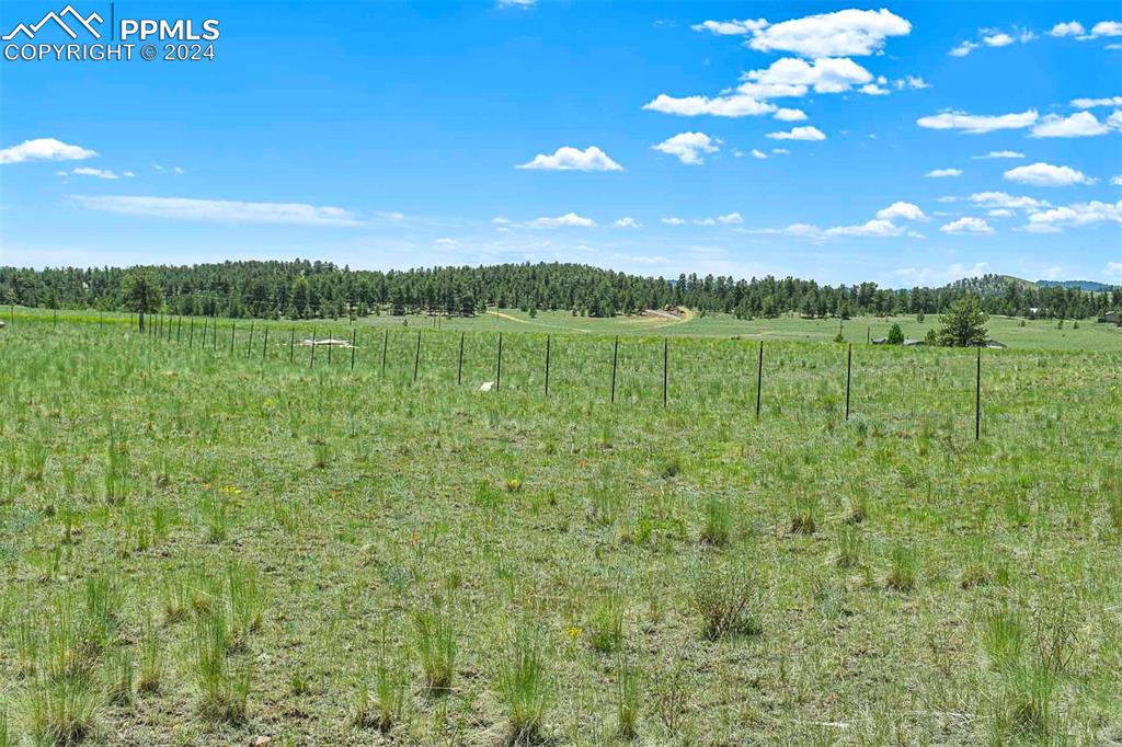 56 View Lane Guffey, CO 80820 - Photo 17 of 38 a view of lake with green yard