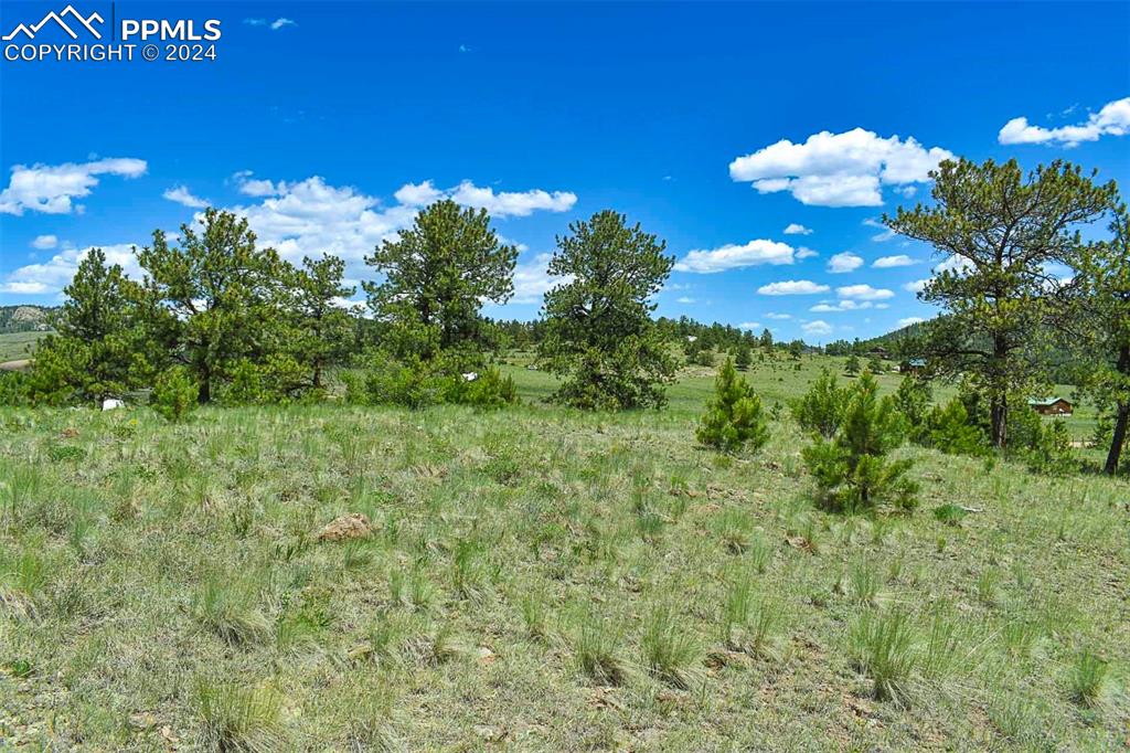 56 View Lane Guffey, CO 80820 - Photo 19 of 38 a view of a yard