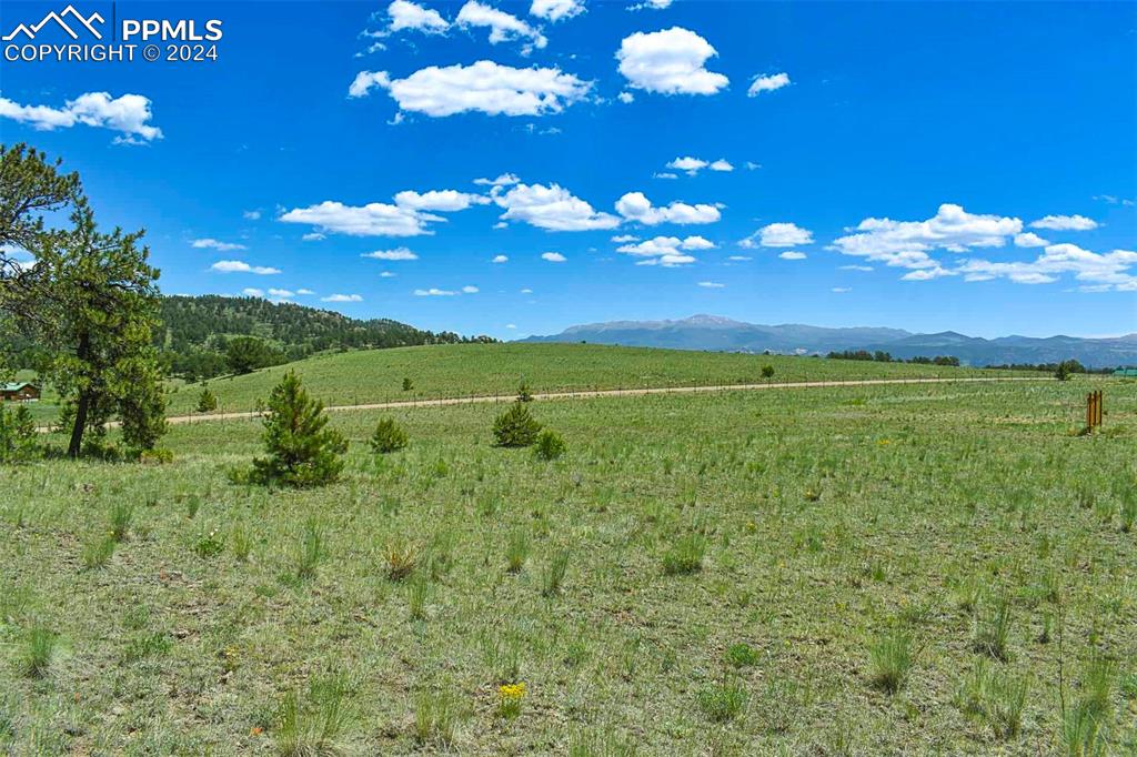 56 View Lane Guffey, CO 80820 - Photo 2 of 38 a view of a big yard with lots of green space