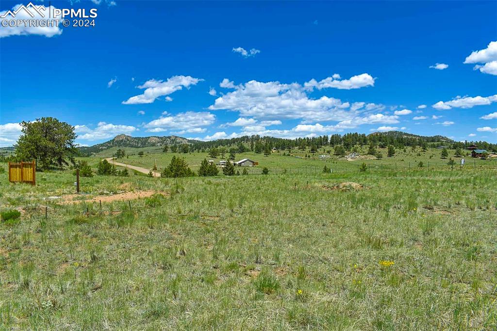56 View Lane Guffey, CO 80820 - Photo 24 of 38 a view of a yard with an tree