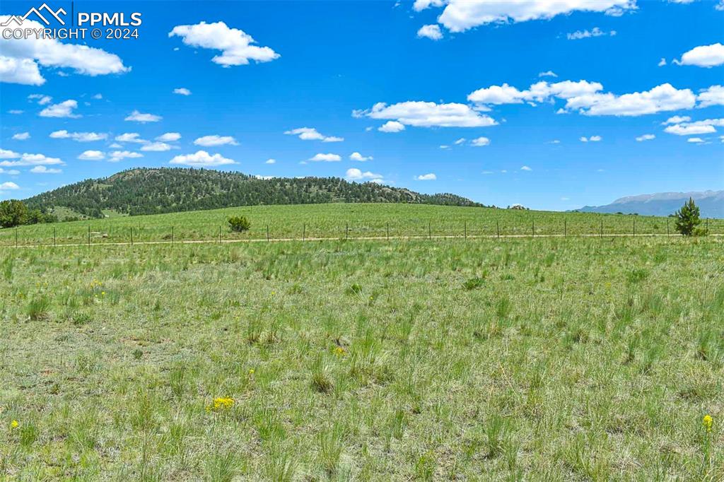 56 View Lane Guffey, CO 80820 - Photo 26 of 38 a view of a big yard with lots of green space