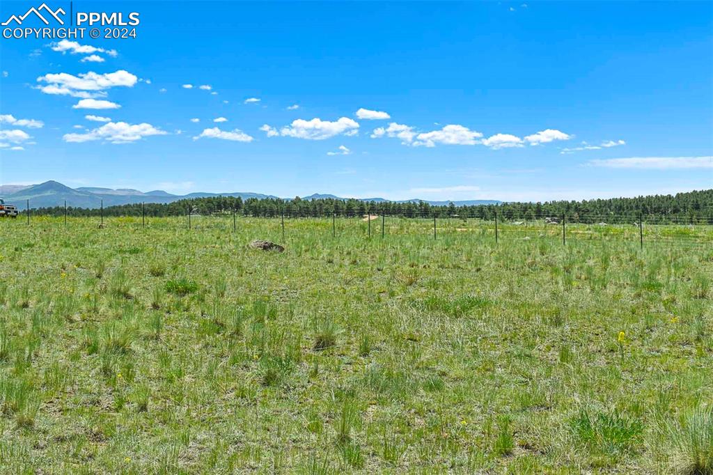 56 View Lane Guffey, CO 80820 - Photo 28 of 38 a view of a lake in middle of the forest