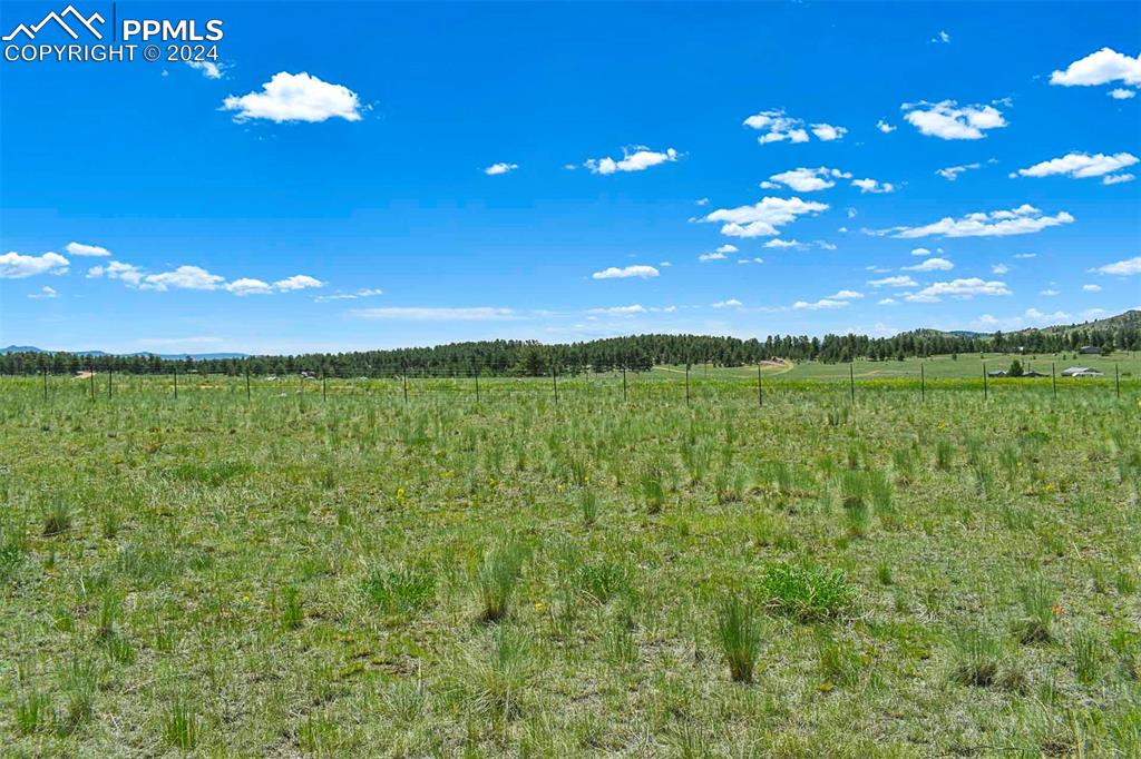 56 View Lane Guffey, CO 80820 - Photo 29 of 38 a view of a yard with a house in the background