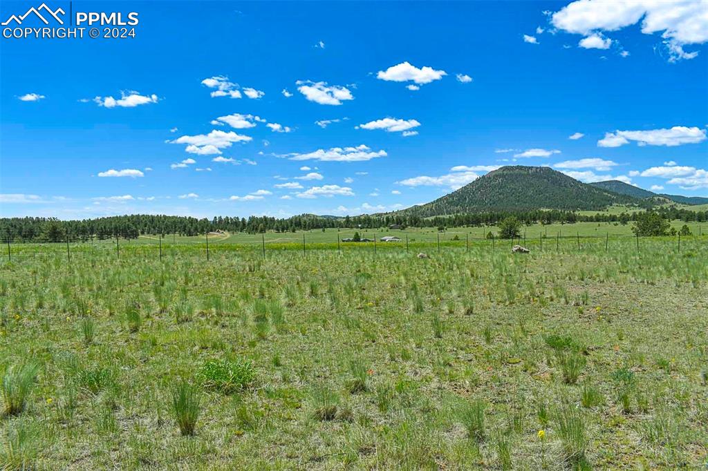 56 View Lane Guffey, CO 80820 - Photo 30 of 38 a view of a green field