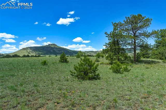 a view of a big yard with lots of green space