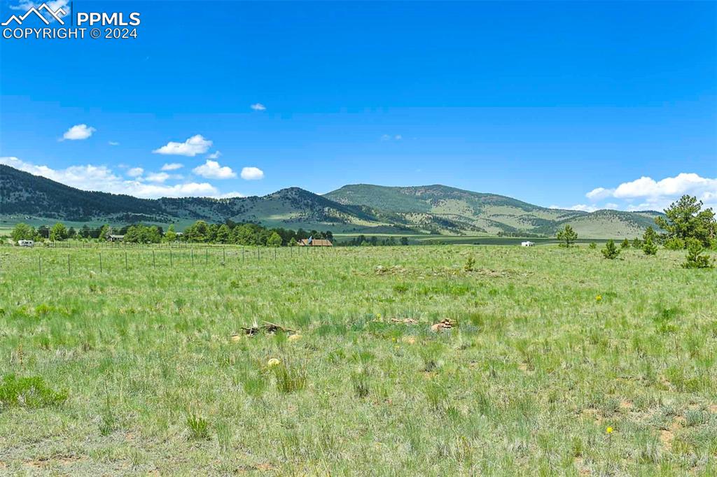 56 View Lane Guffey, CO 80820 - Photo 33 of 38 a view of a big yard with a large tree