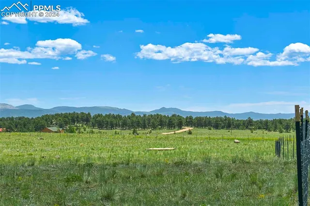 a view of a field with an ocean