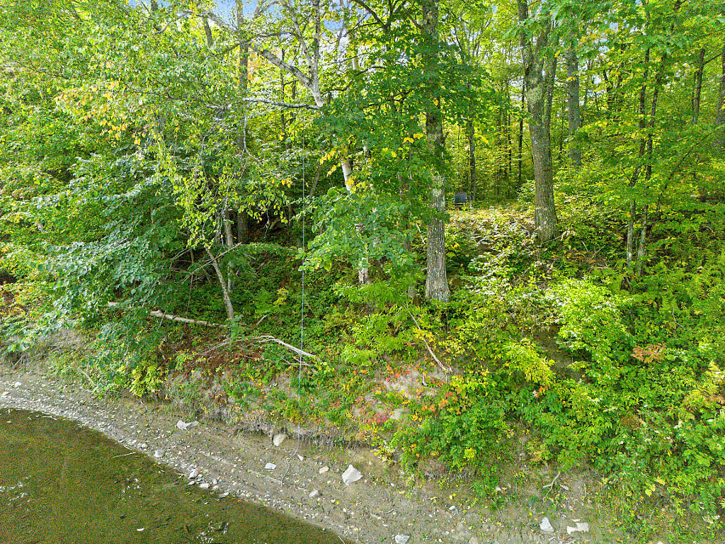 167 House) Town Farm Road North Anson, ME 04958 - Photo 59 of 81