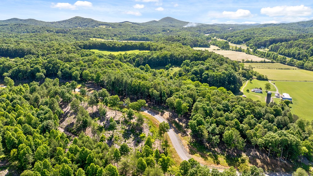 Lot 4 Ridge Drive Morganton, GA 30560 - Photo 9 of 23 Gallery Image 9