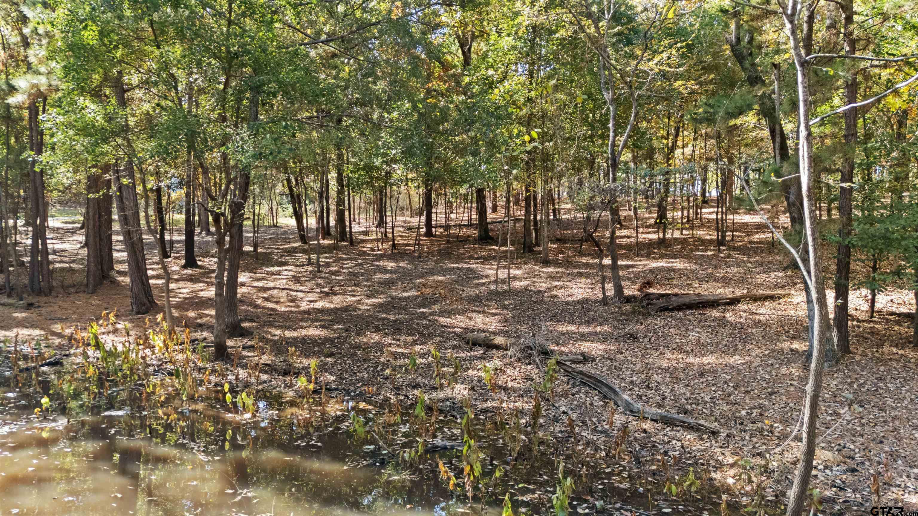 Tbd Hickory Trail Flint, TX 75762 - Photo 13 of 15 a backyard of a house with lots of green space