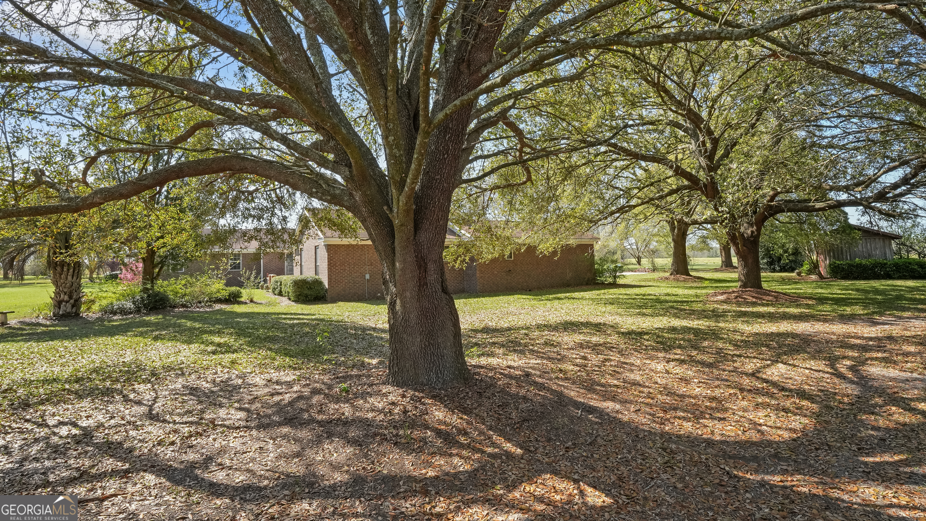 1535 Clifford Jones Road Screven, GA 31560 - Photo 12 of 48