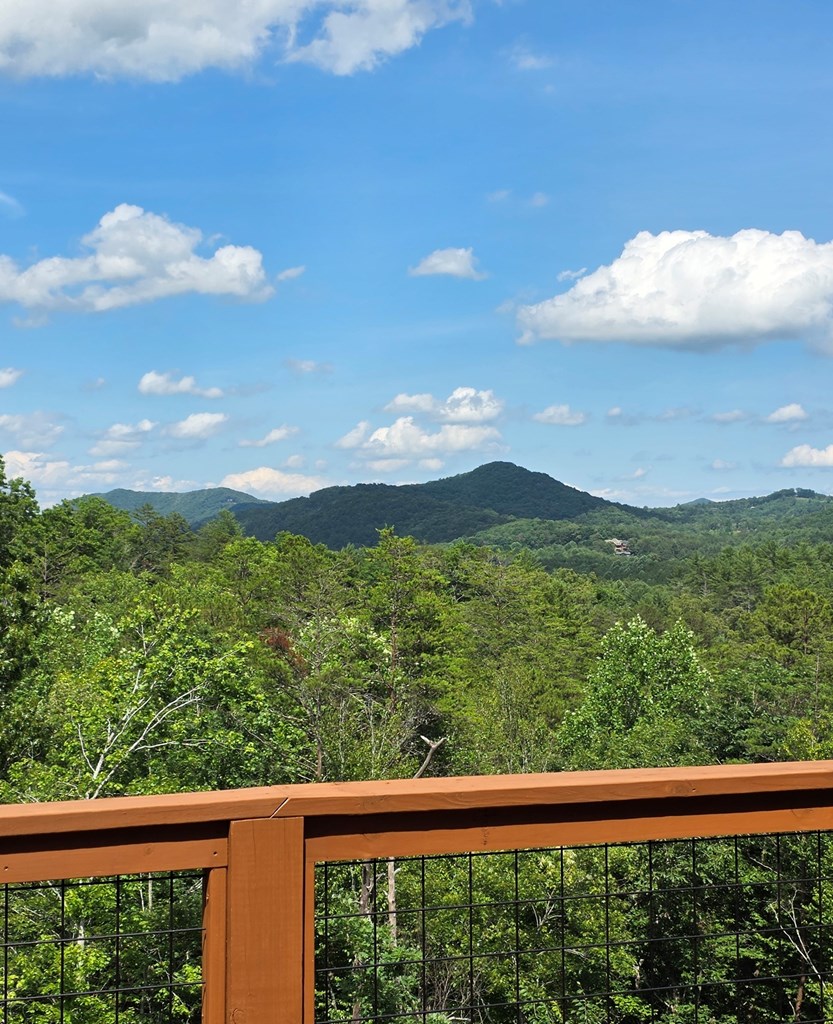 95 Ridgeline Lane Mineral Bluff, GA 30559 - Photo 63 of 73