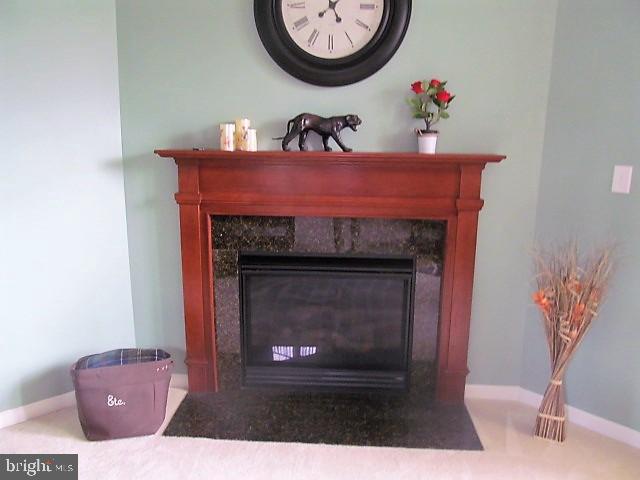 1243 Painted Fern Road Denton, MD 21629 - Photo 13 of 32 Gallery Image 13