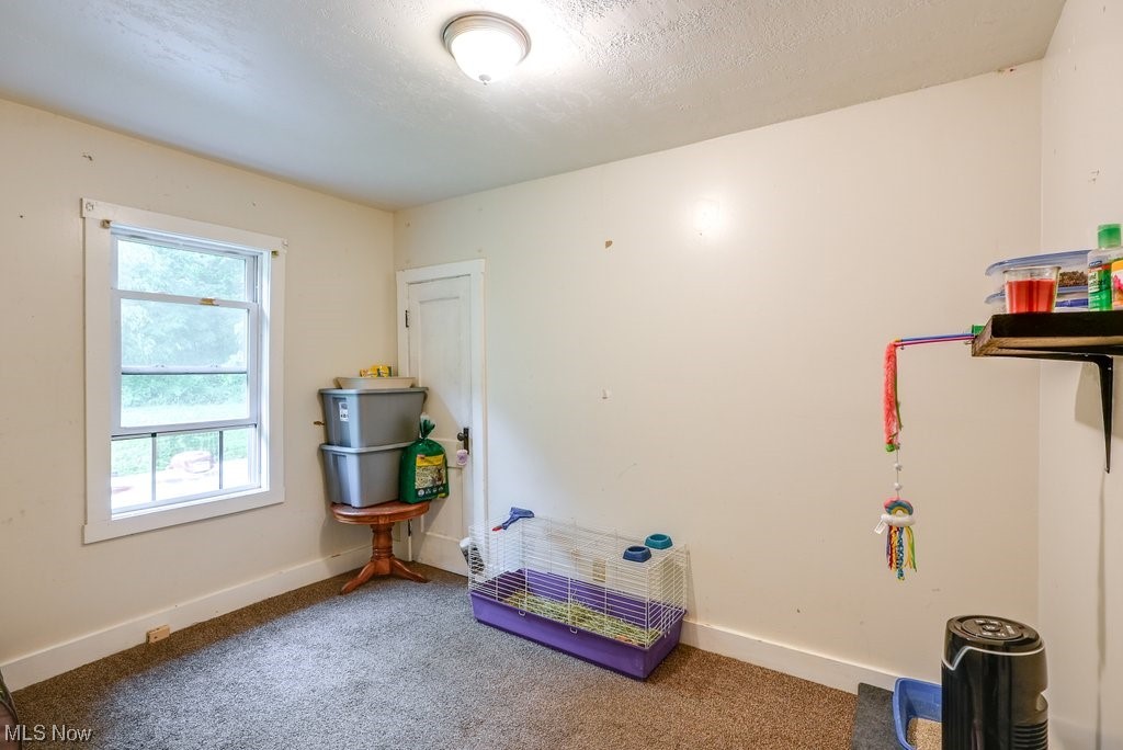 7103 Infirmary Road Ravenna, OH 44266 - Photo 12 of 27