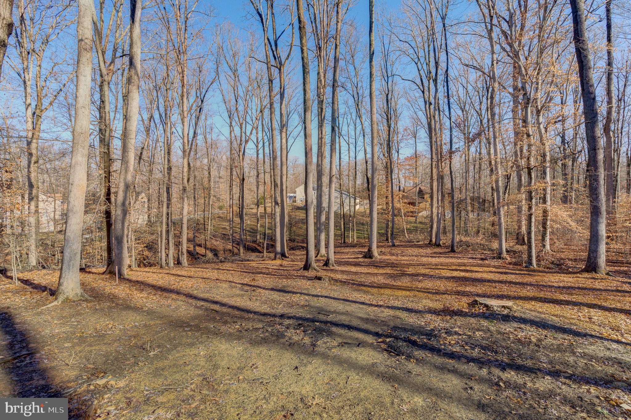 296 Robbie Road Bumpass, VA 23024 - Photo 53 of 55