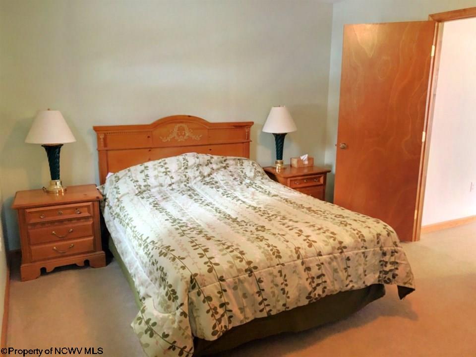 258 Brookside Road Davis, WV 26260 - Photo 11 of 20 Gallery Image 11