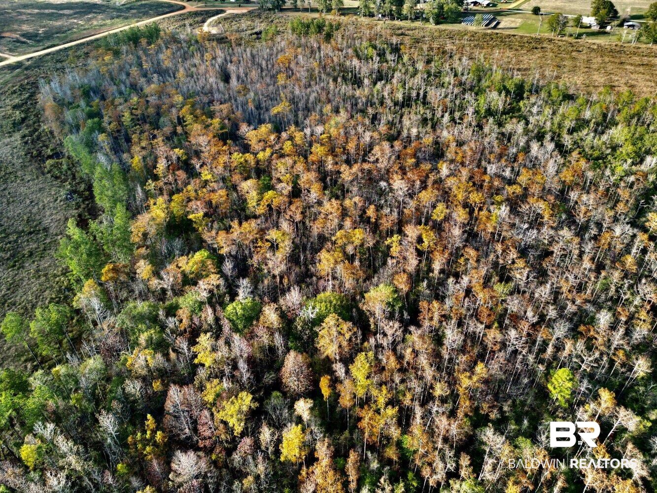 0 Wayside Road Atmore, AL 36502 - Photo 29 of 34 Gallery Image 29
