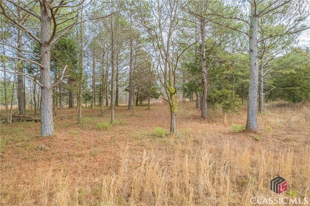 460 Old Airport Road, Unit LOT 3 Commerce, GA 30530 - Photo 16 of 36