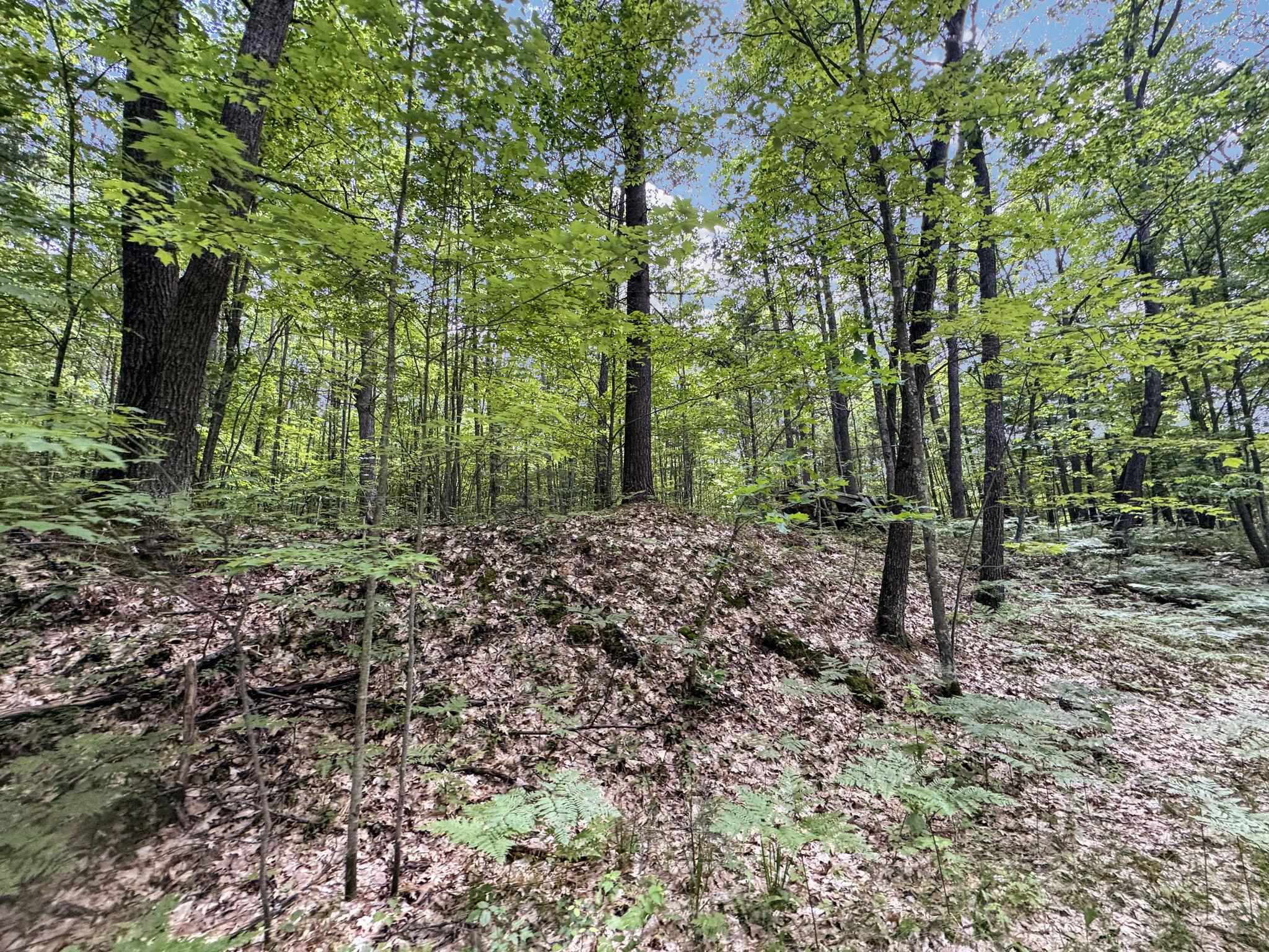 Parcel A Seeley Road Lake City, MI 49651 - Photo 15 of 16
