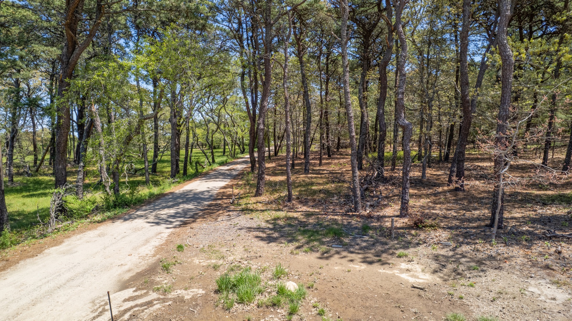5 Lenssen Way Edgartown, MA 02539 - Photo 2 of 5 a view of outdoor space with deck and trees