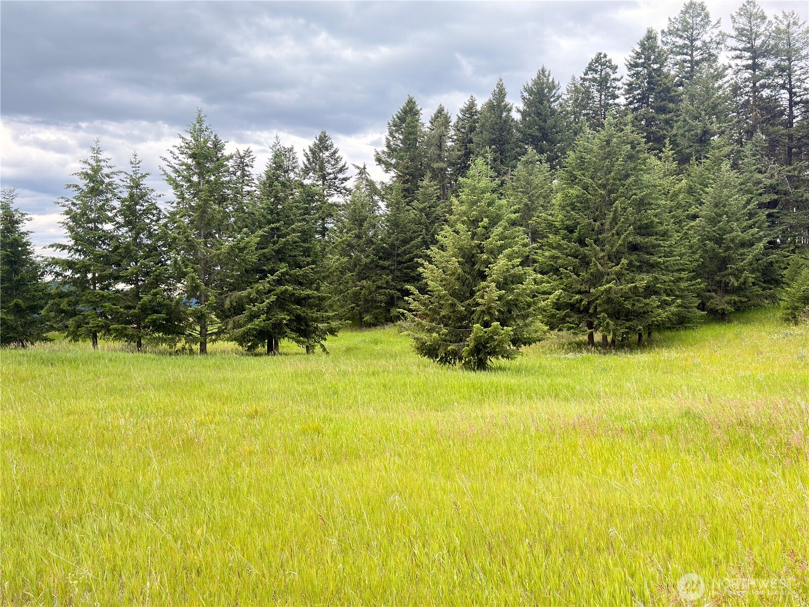 12 South Teal Lake Road Oroville, WA 98844 - Photo 35 of 35