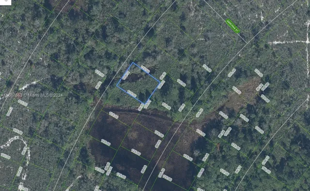 a view of a tree in a yard