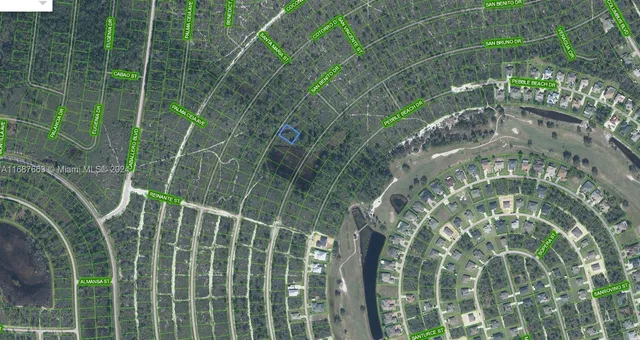 a view of a plant in a garden