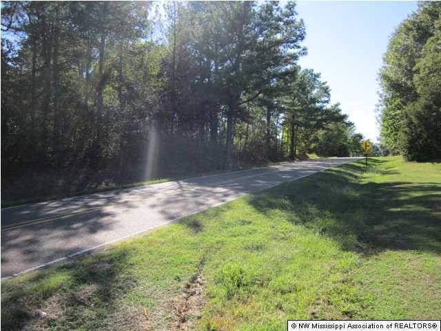 8636 Vaiden Road Hernando, MS 38632 - Photo 2 of 15 Additional Photo