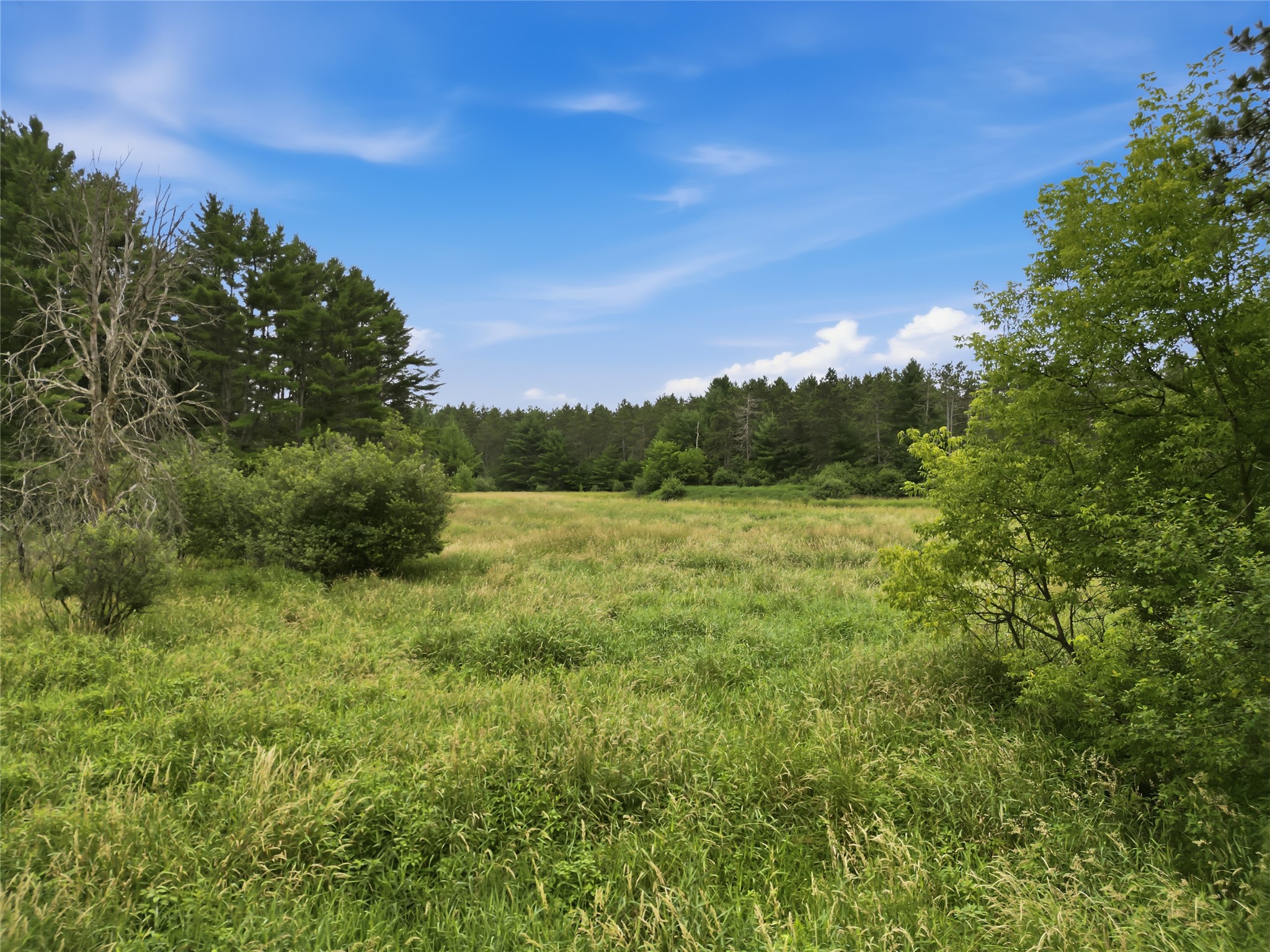 0 West Road Black River Falls, WI 54615 - Photo 10 of 43