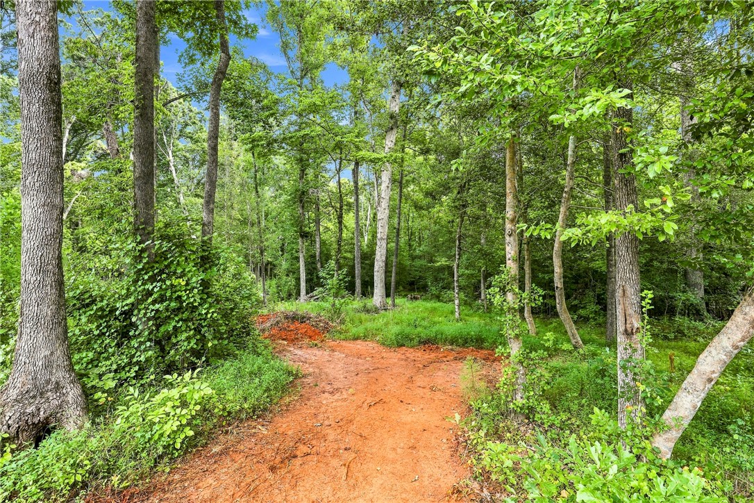 525 Shirley Store Road Anderson, SC 29621 - Photo 36 of 46 Mature trees frame a dirt path winding through this serene, naturally wooded home site.