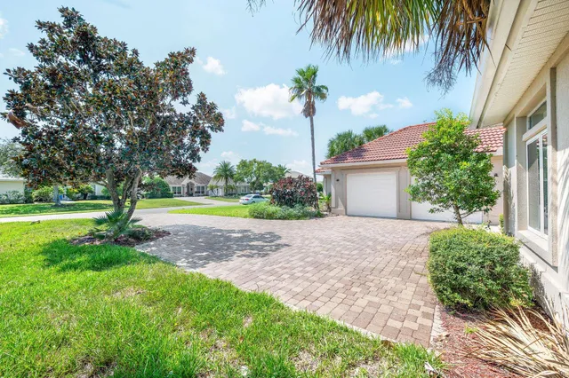 a view of a backyard with palm trees