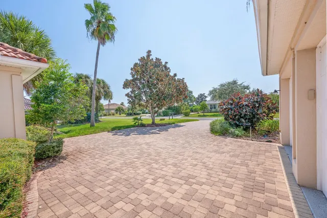 a view of road with tress in front of it