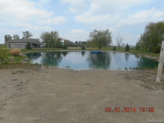 pond.jpg