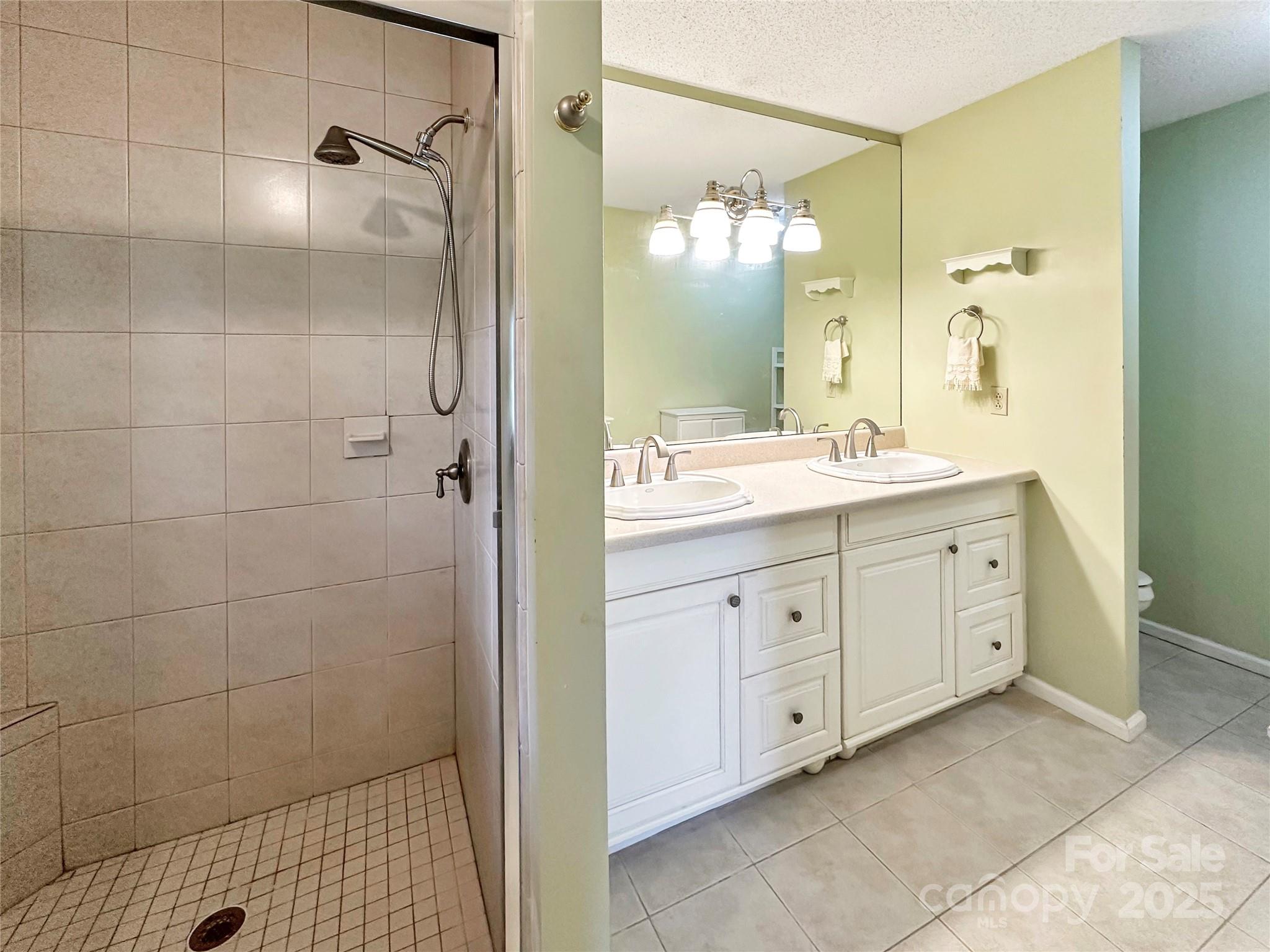 3245 15th Street Northeast Hickory, NC 28601 - Photo 18 of 39 a spacious bathroom with a double vanity sink mirror and shower
