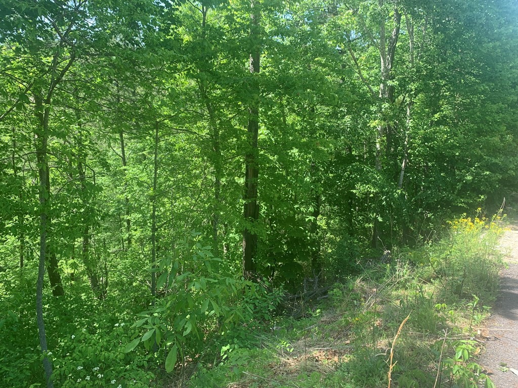 14 Clearview Road Sevierville, TN 37862 - Photo 10 of 27 Gallery Image 10