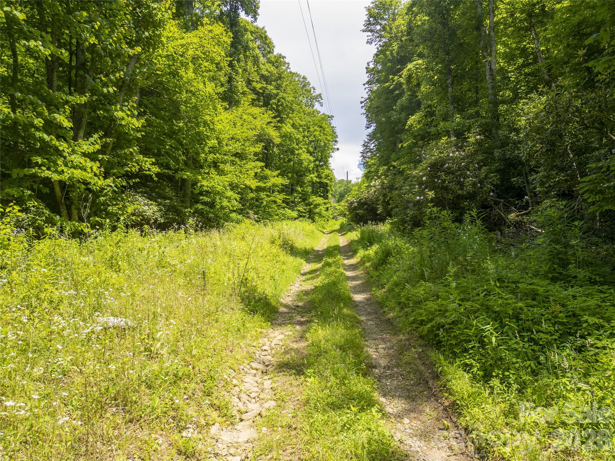 168 Smith Creek Road Mars Hill, NC 28754 - Photo 6 of 46