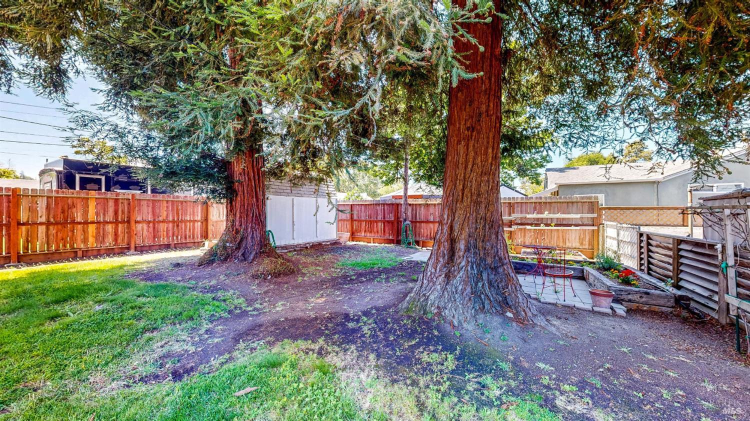 809 Maple Avenue Vallejo, CA 94591 - Photo 43 of 46 a view of a backyard with large tree and wooden fence