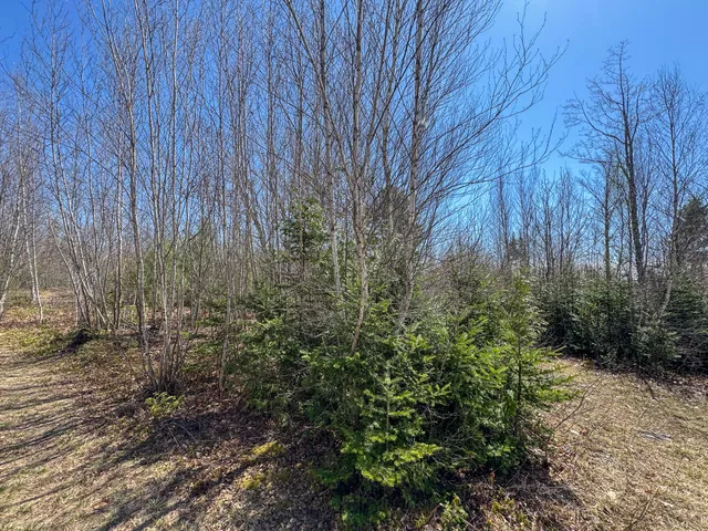 $280,000 | 111 Fryes Lane, Greenbush, ME 04418