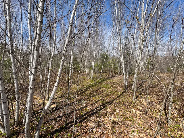 $280,000 | 111 Fryes Lane, Greenbush, ME 04418