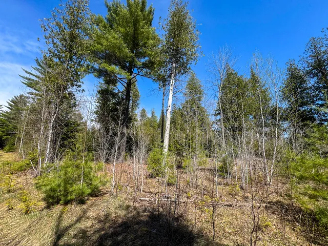 $280,000 | 111 Fryes Lane, Greenbush, ME 04418