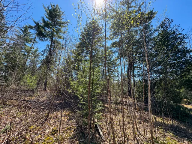 $280,000 | 111 Fryes Lane, Greenbush, ME 04418