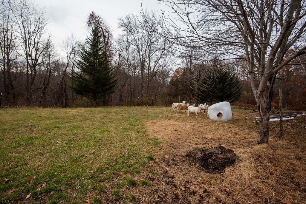 1201 Wauwinet Road Barre, MA 01005 - Photo 38 of 42