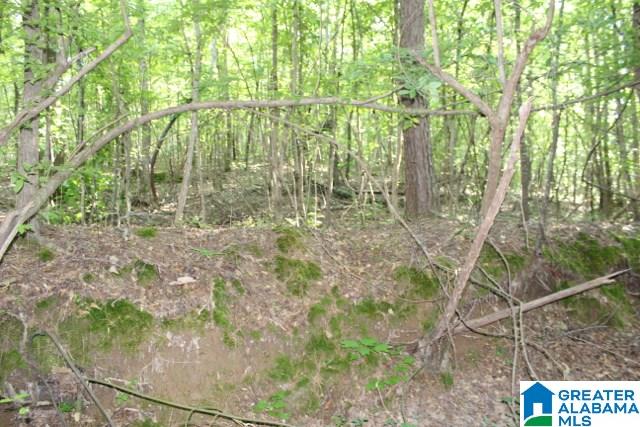 1 Benefield Gap Road Attalla, AL 35954 - Photo 9 of 50