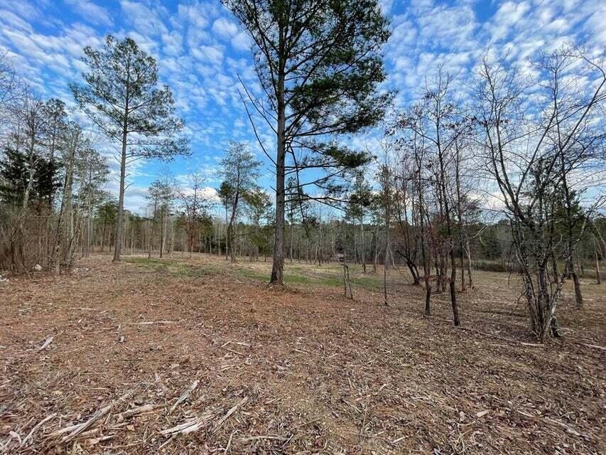 902 Johns Road Decatur, TN 37322 - Photo 2 of 26 Johns - Main