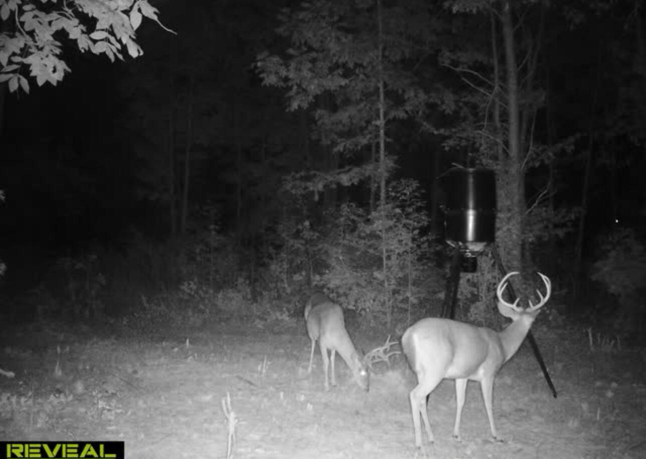 902 Johns Road Decatur, TN 37322 - Photo 26 of 26 IMG_5453