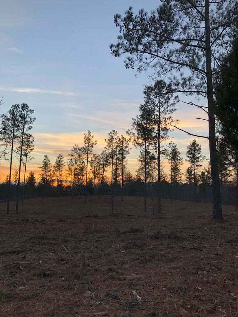 902 Johns Road Decatur, TN 37322 - Photo 3 of 26 Johns-Sunset